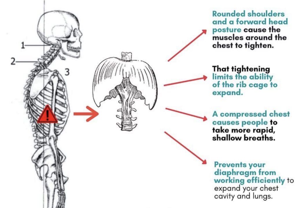 Poor posture and diaphragm mechanics 